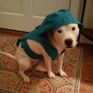 Meet your Posher, Shiloe